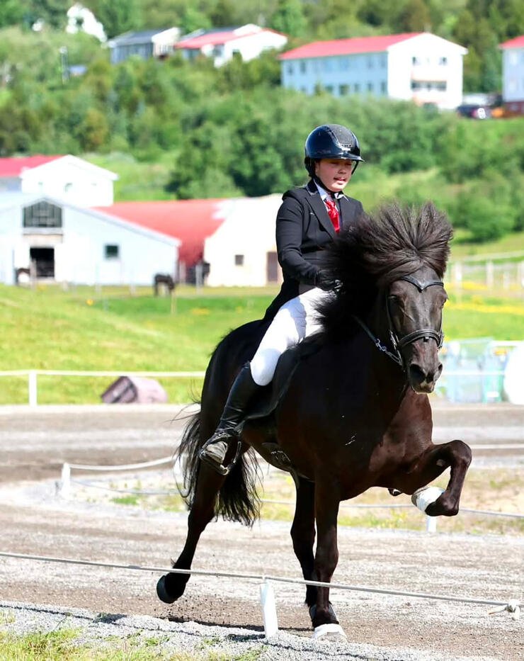 Ungur knapi á íslenskum hesti í keppni á vegum SPROTA