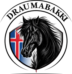 Merki Draumabakki